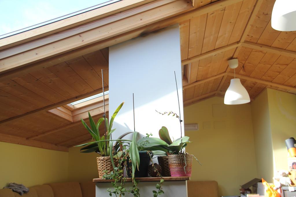 Hostel Curavacas Triollo Kültér fotó